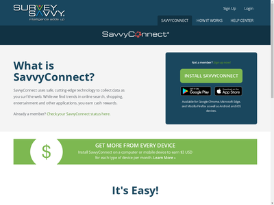 surveysavvy connect website